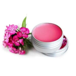 Natural Moisturizing Lip Balm